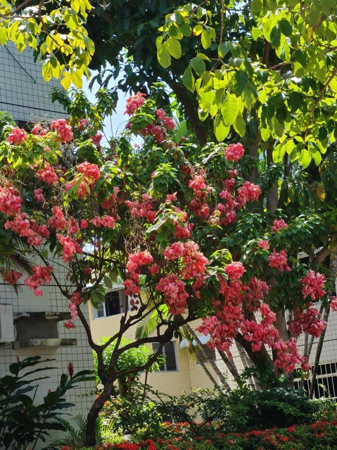 דירות Maceió Apartamento Parque Jatiuca מראה חיצוני תמונה
